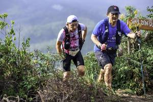 BIB: 246
                            <button type="button" onclick="openModal(24765503)" class="btn btn-primary btn-sm float-right btn-popup" data-toggle="modal" data-target=".modal-high-quality">
                        <i class="fas fa-shopping-cart"></i> Add to Cart
                    </button>
                                            <button type="button" onclick="isThisMe(24765503, true)" class="btn btn-success btn-sm float-right btn-popup btn-isme hidden" data-toggle="tooltip" data-placement="bottom" title="นี่คือรูปของคุณใช่ไหม คลิกที่นี่เพื่อเอาเข้าอัลบั้ม">
                        <i class="fas fa-plus"></i> Add to album
                    </button>
                    <button type="button" onclick="isThisMe(24765503, false)" class="btn btn-warning btn-sm float-right btn-popup btn-isnotme hidden">
                        <i class="fas fa-ban"></i> Remove from album
                    </button>